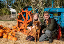 Cotswold Farm Park is bursting with Halloween magic