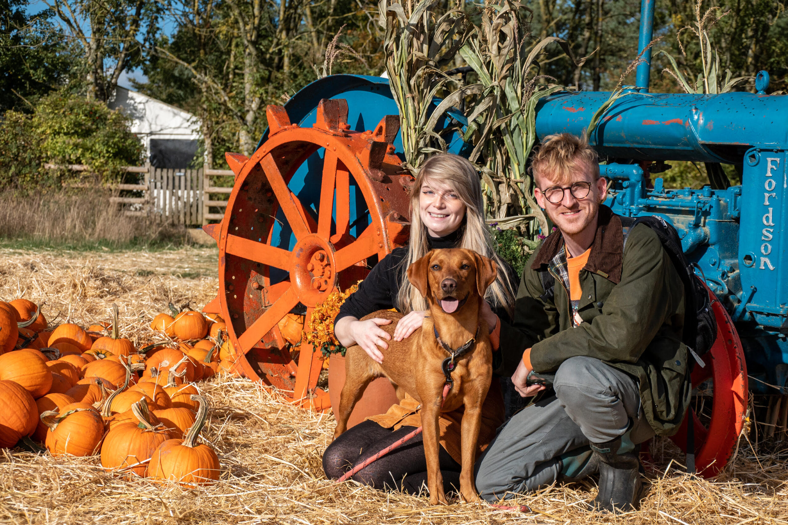 Cotswold Farm Park is bursting with Halloween magic